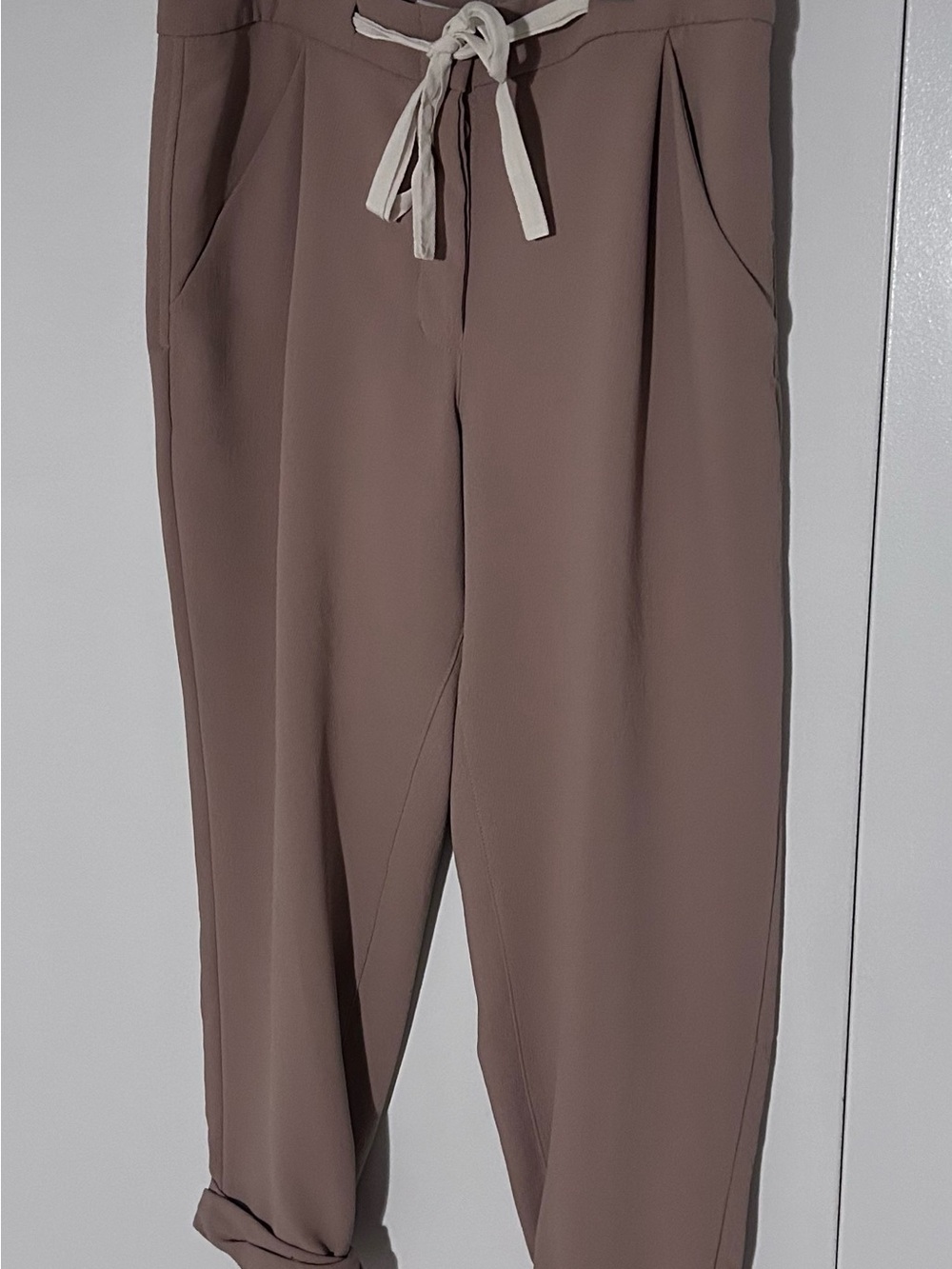 Aritzia Allant Drawstring Pleated Joggers in Dusty Rose